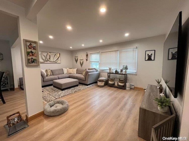 living room with light hardwood / wood-style flooring