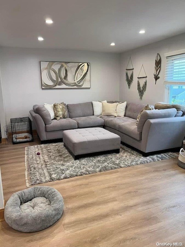 living room featuring light wood-type flooring