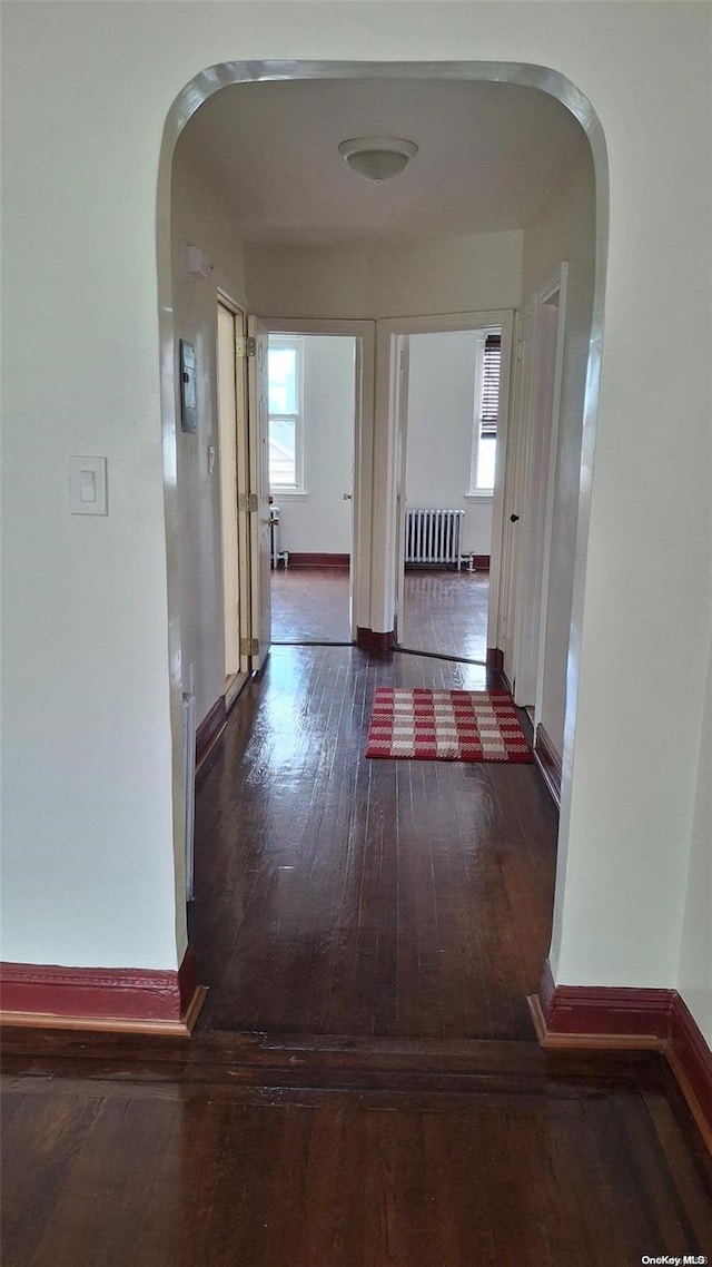 hall featuring radiator heating unit and dark hardwood / wood-style floors