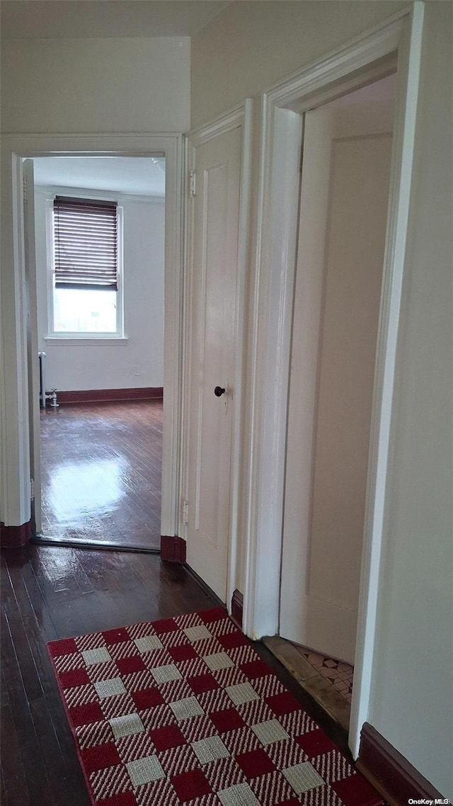 hallway with dark hardwood / wood-style flooring