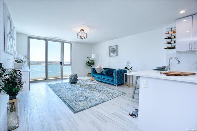 living room with a water view, floor to ceiling windows, light hardwood / wood-style floors, and sink