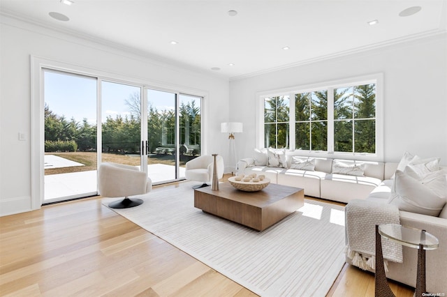 living room featuring ornamental molding and light wood-type flooring