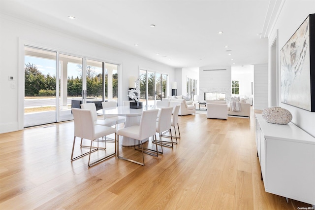 dining room featuring light hardwood / wood-style floors