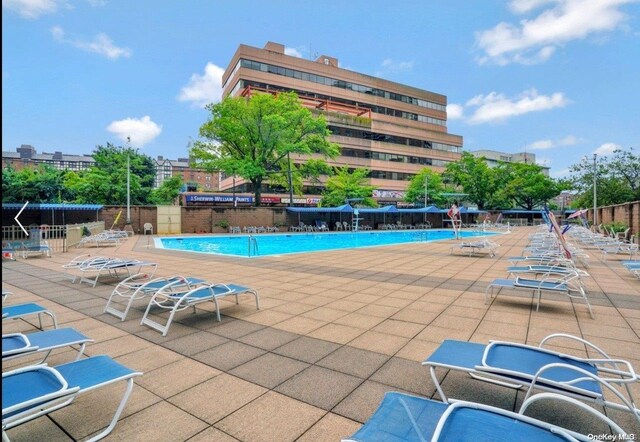 view of pool with a patio area