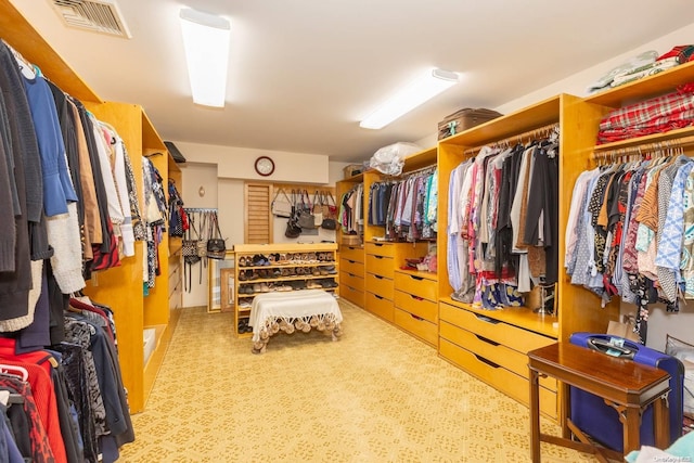 view of walk in closet