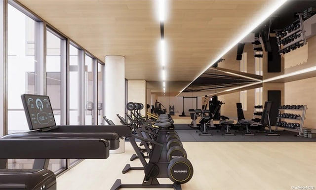 exercise room featuring hardwood / wood-style floors