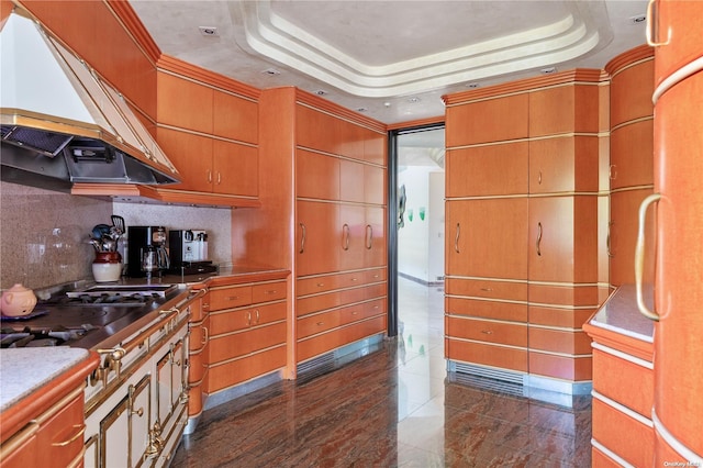 kitchen featuring stainless steel gas stovetop, a raised ceiling, crown molding, and extractor fan