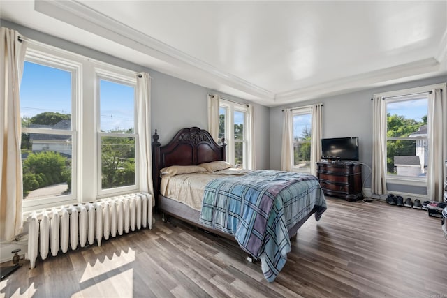 bedroom featuring radiator heating unit, hardwood / wood-style flooring, and multiple windows