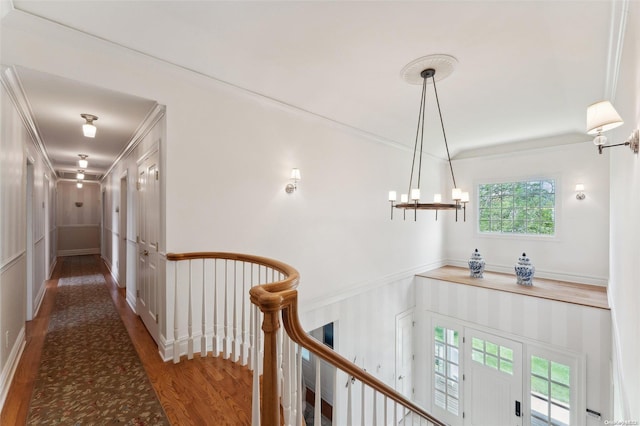 corridor featuring dark hardwood / wood-style floors, ornamental molding, and an inviting chandelier