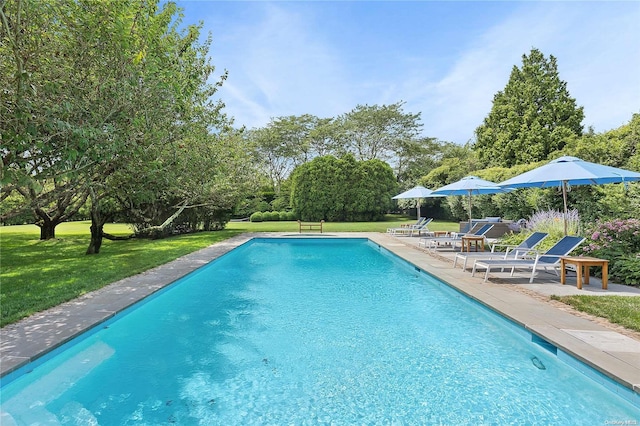 view of swimming pool with a lawn and a patio