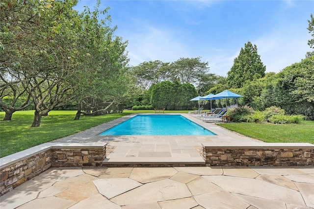 view of swimming pool with a yard and a patio