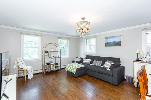 living room with dark hardwood / wood-style floors, plenty of natural light, and ornamental molding