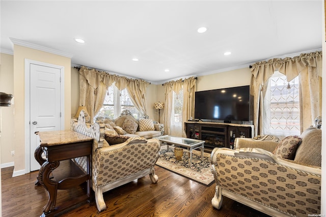 living room featuring crown molding and dark wood-type flooring