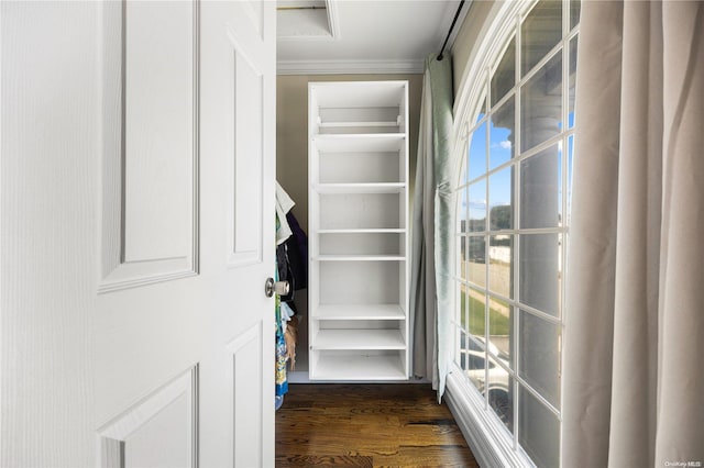 spacious closet with dark hardwood / wood-style floors