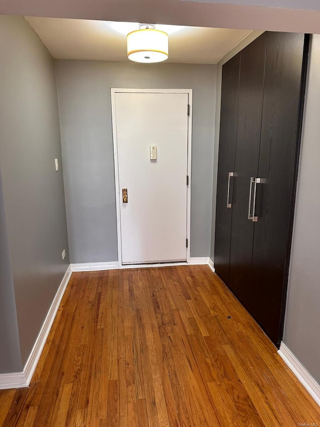 foyer with wood-type flooring