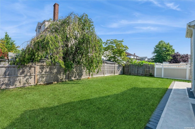 view of yard featuring a patio area