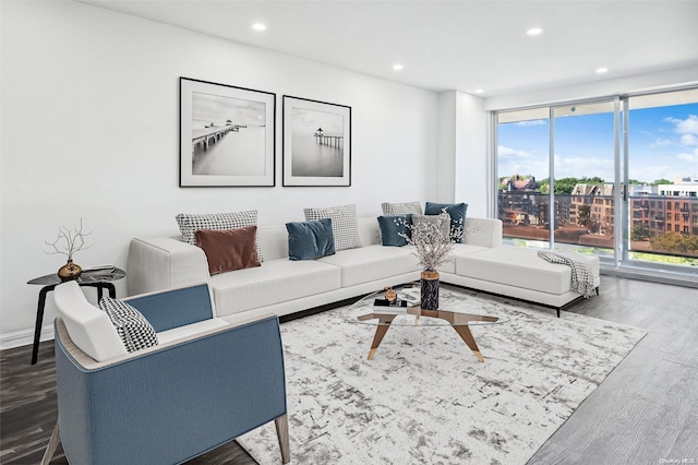 living room with a healthy amount of sunlight and dark hardwood / wood-style floors