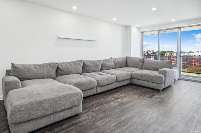 living room with a wealth of natural light and dark hardwood / wood-style flooring