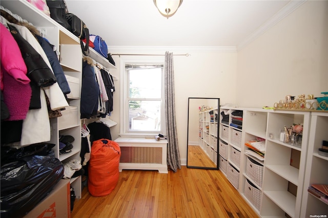 walk in closet with light hardwood / wood-style floors