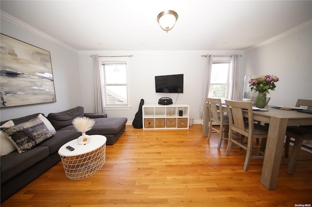 living room featuring ornamental molding and light hardwood / wood-style flooring