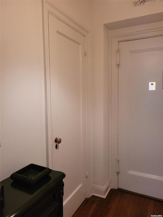 doorway to outside with dark hardwood / wood-style flooring