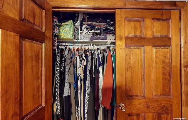 view of closet