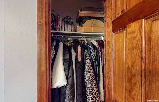 view of closet