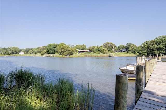 dock area featuring a water view