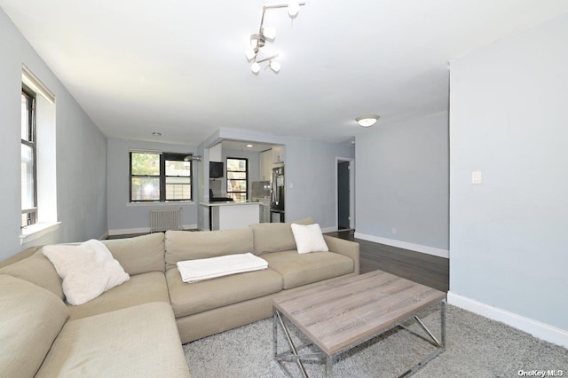 living room with hardwood / wood-style flooring and radiator