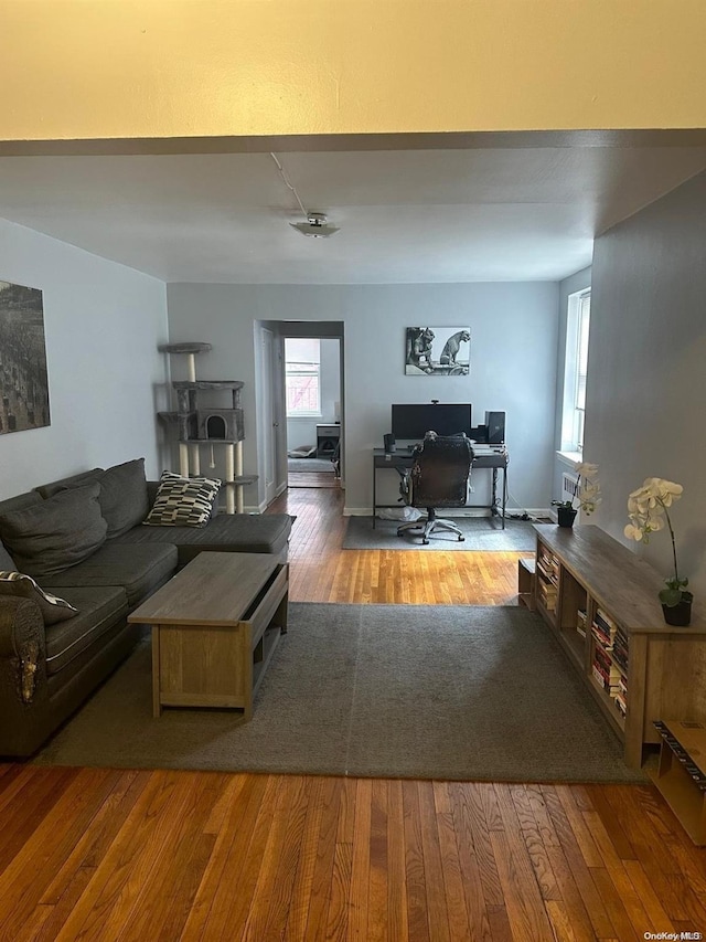 living room featuring wood-type flooring