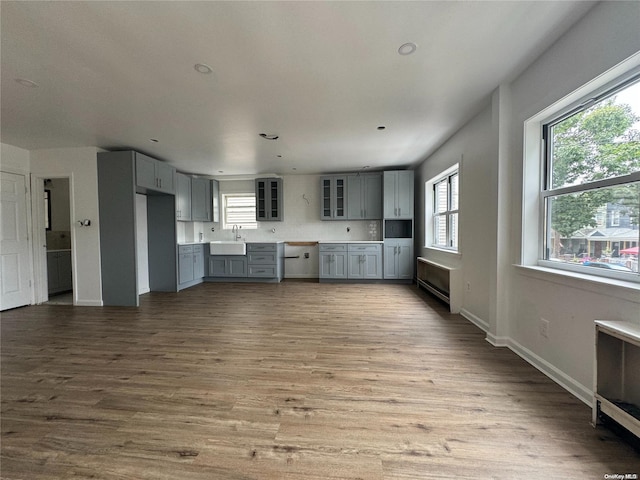 kitchen featuring backsplash, gray cabinetry, sink, and dark hardwood / wood-style floors