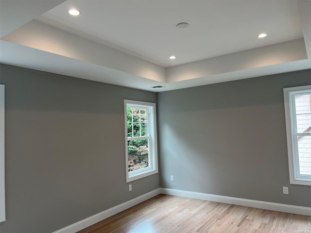 spare room with a raised ceiling and light wood-type flooring