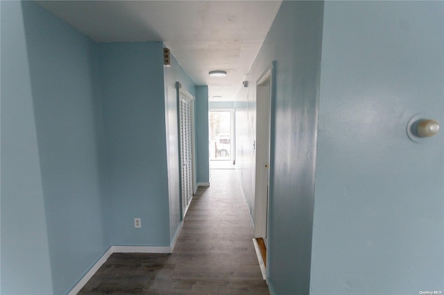 hall featuring dark wood-type flooring