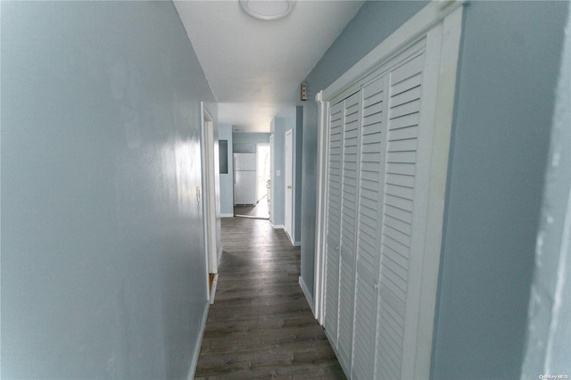 hall featuring dark wood-type flooring