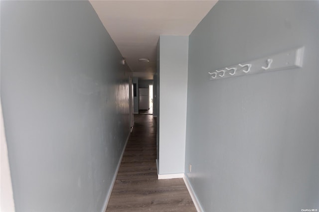 corridor with dark hardwood / wood-style flooring