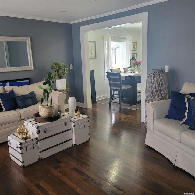 living room featuring ornamental molding and dark wood-type flooring