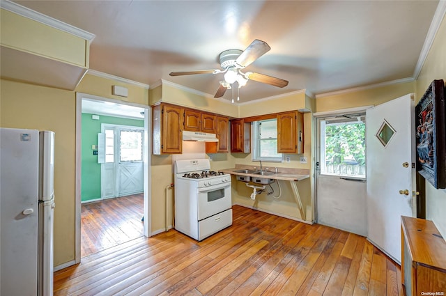 kitchen with sink, ornamental molding, fridge, white range with gas cooktop, and light hardwood / wood-style floors