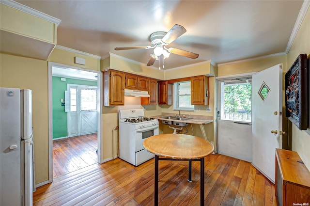 kitchen with fridge, a healthy amount of sunlight, white gas range oven, and light wood-type flooring