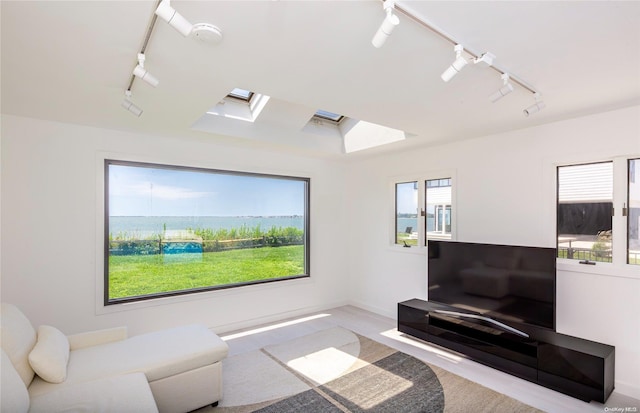 living room featuring light carpet, rail lighting, and a healthy amount of sunlight