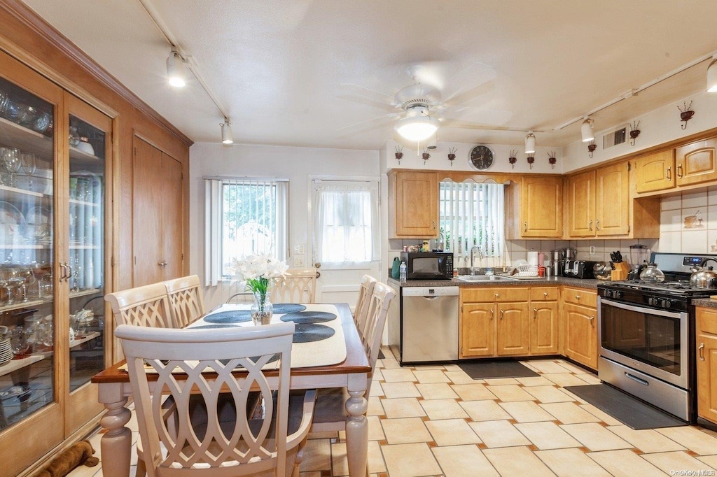 kitchen with ceiling fan, sink, rail lighting, decorative backsplash, and appliances with stainless steel finishes