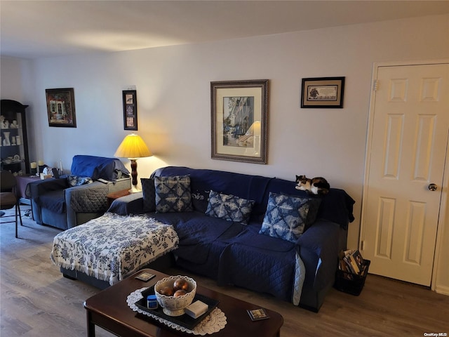 living room featuring wood-type flooring