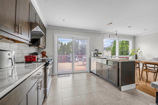 kitchen featuring a healthy amount of sunlight, dark brown cabinetry, and appliances with stainless steel finishes