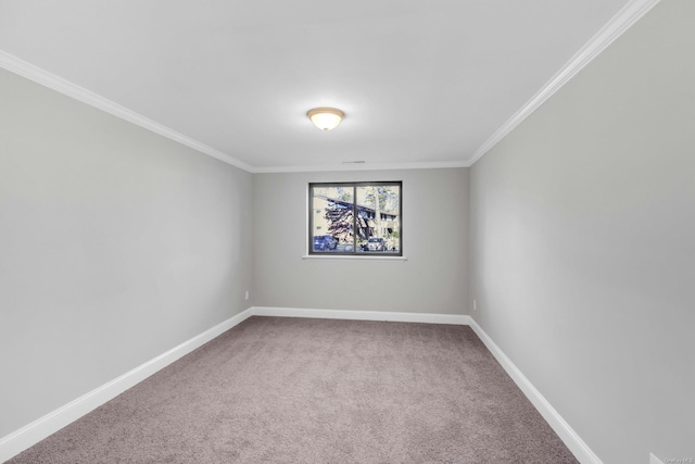 spare room featuring crown molding and carpet floors