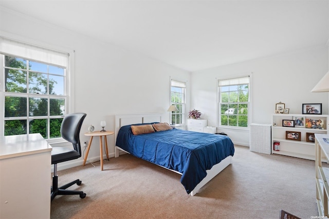 view of carpeted bedroom