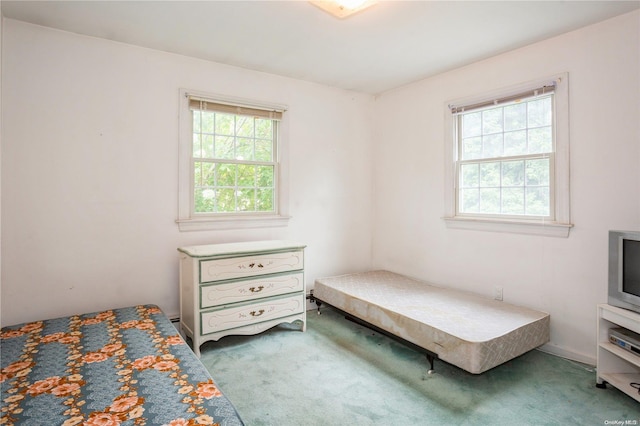 bedroom featuring carpet flooring and multiple windows