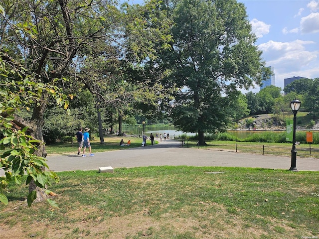 view of community with a water view and a lawn