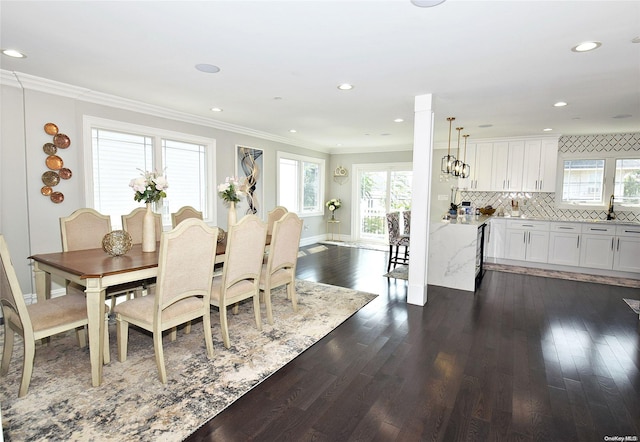 dining space with dark wood-type flooring, sink, and crown molding