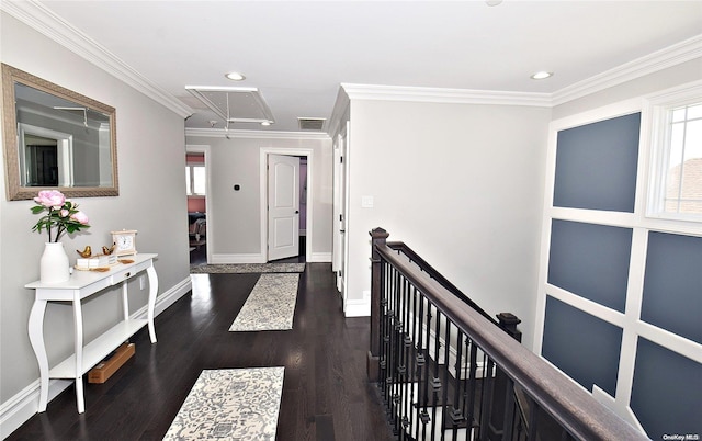 corridor with dark wood-type flooring, ornamental molding, and plenty of natural light