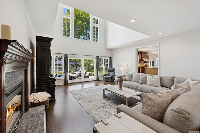 living room with a fireplace, a high ceiling, and dark hardwood / wood-style floors