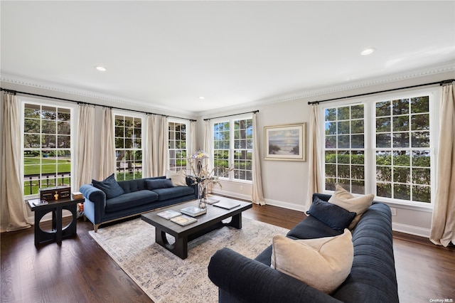 living room with dark hardwood / wood-style flooring and crown molding
